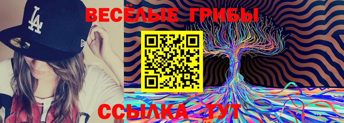 Псилоцибиновые грибы GOLDEN TEACHER Москва