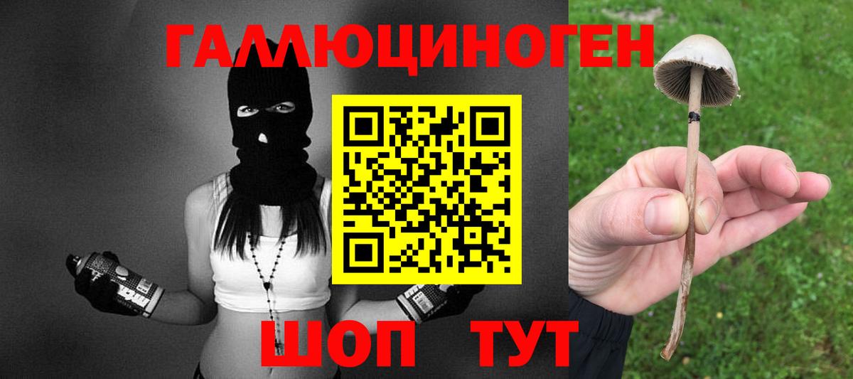 Галлюциногенные грибы Psilocybe  Вход с VPN  Галлюциногенные грибы мицелий  Москва 